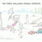 rysunek-park Hallera